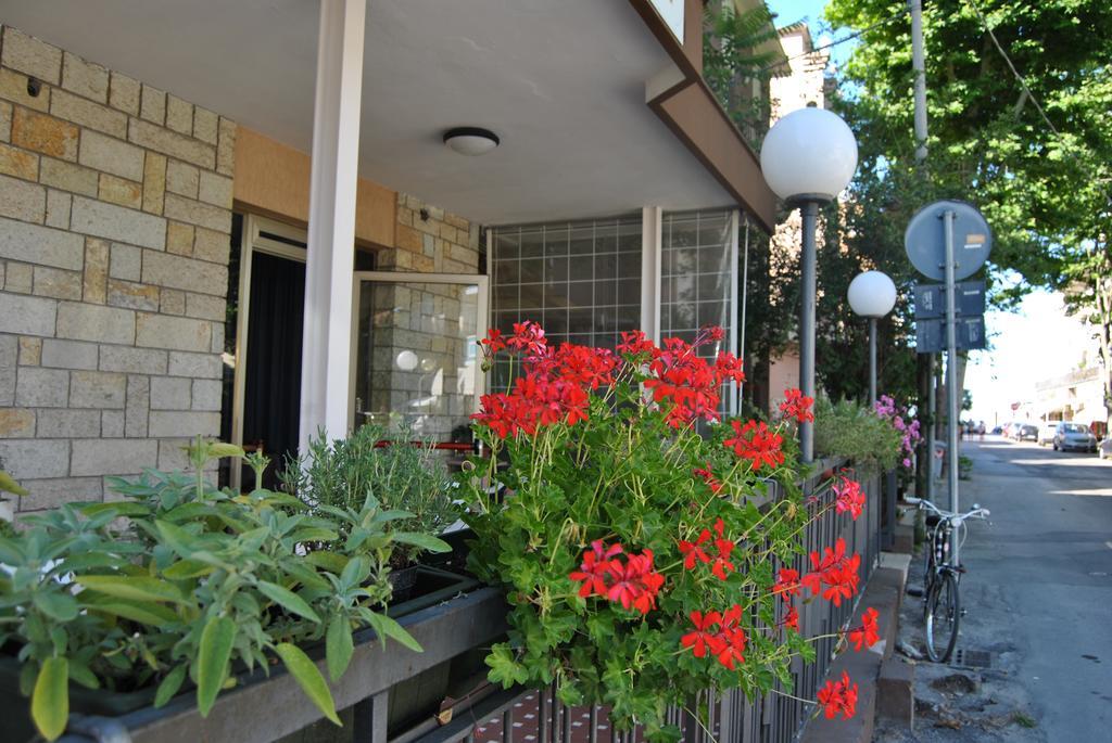 Le Aromatiche B&B Viserbella di Rimini Exteriör bild